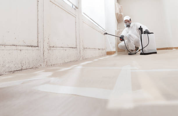 24/7 Emergency Mold Removal experts in Burlington, WA