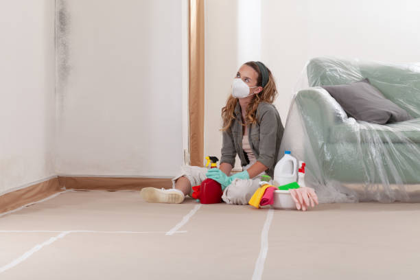 Reliable Mold Removal contractor in Burlington, WA by Mold Remediation HQ